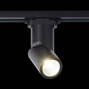Светильник на штанге ST-Luce ST650 ST650.436.10 в Тобольске - tobolsk.mebel24.online | фото 3