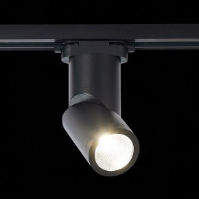 Светильник на штанге ST-Luce ST650 ST650.446.10 в Тобольске - tobolsk.mebel24.online | фото 2