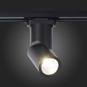 Светильник на штанге ST-Luce ST650 ST650.446.10 в Тобольске - tobolsk.mebel24.online | фото 4