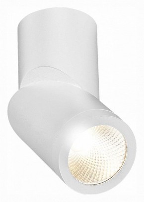 Светильник на штанге ST-Luce ST650 ST650.532.10 в Тобольске - tobolsk.mebel24.online | фото 3