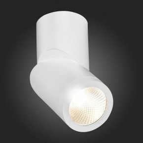 Светильник на штанге ST-Luce ST650 ST650.532.10 в Тобольске - tobolsk.mebel24.online | фото 6
