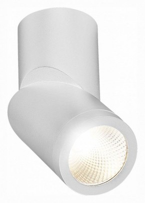 Светильник на штанге ST-Luce ST650 ST650.542.10 в Тобольске - tobolsk.mebel24.online | фото 3