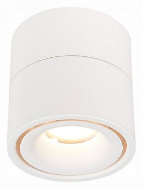 Светильник на штанге ST-Luce ST652 ST652.532.12 в Тобольске - tobolsk.mebel24.online | фото 2