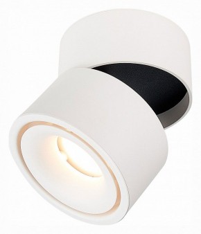 Светильник на штанге ST-Luce ST652 ST652.532.12 в Тобольске - tobolsk.mebel24.online | фото 3