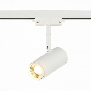 Светильник на штанге ST-Luce Zoom ST600.536.12 в Тобольске - tobolsk.mebel24.online | фото 2