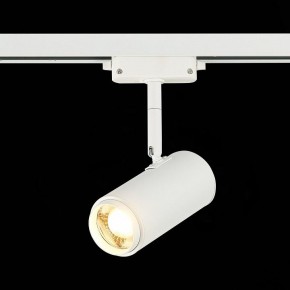 Светильник на штанге ST-Luce Zoom ST600.536.12 в Тобольске - tobolsk.mebel24.online | фото 4
