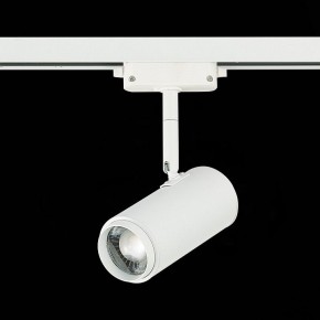 Светильник на штанге ST-Luce Zoom ST600.546.12 в Тобольске - tobolsk.mebel24.online | фото 5