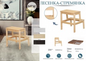 Табурет Стремянка в Тобольске - tobolsk.mebel24.online | фото 4