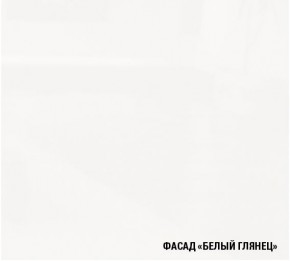ТЕРЦИЯ Кухонный гарнитур Прайм 400 (1100*2000 мм) в Тобольске - tobolsk.mebel24.online | фото 4