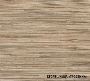 ТОМИЛЛА Кухонный гарнитур Оптима 5 (2700*1600 мм ) в Тобольске - tobolsk.mebel24.online | фото 6