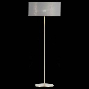 Торшер EVOLUCE Brescia SLE300515-01 в Тобольске - tobolsk.mebel24.online | фото 3