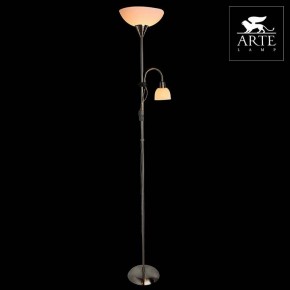 Торшер с подсветкой Arte Lamp Duetto A9569PN-2SS в Тобольске - tobolsk.mebel24.online | фото 3