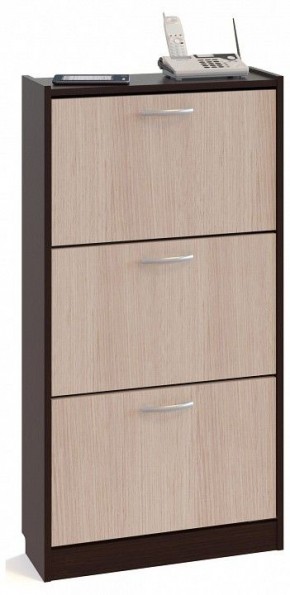 Тумба для обуви ТО-23 в Тобольске - tobolsk.mebel24.online | фото